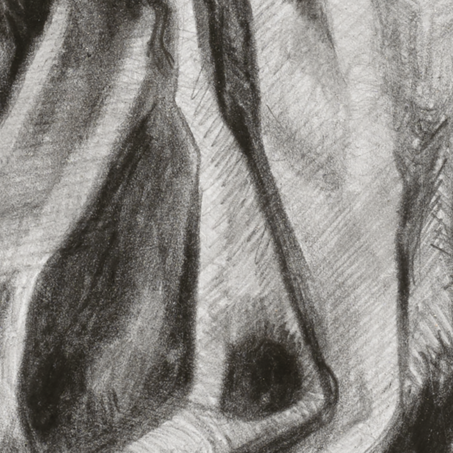 5animas_03