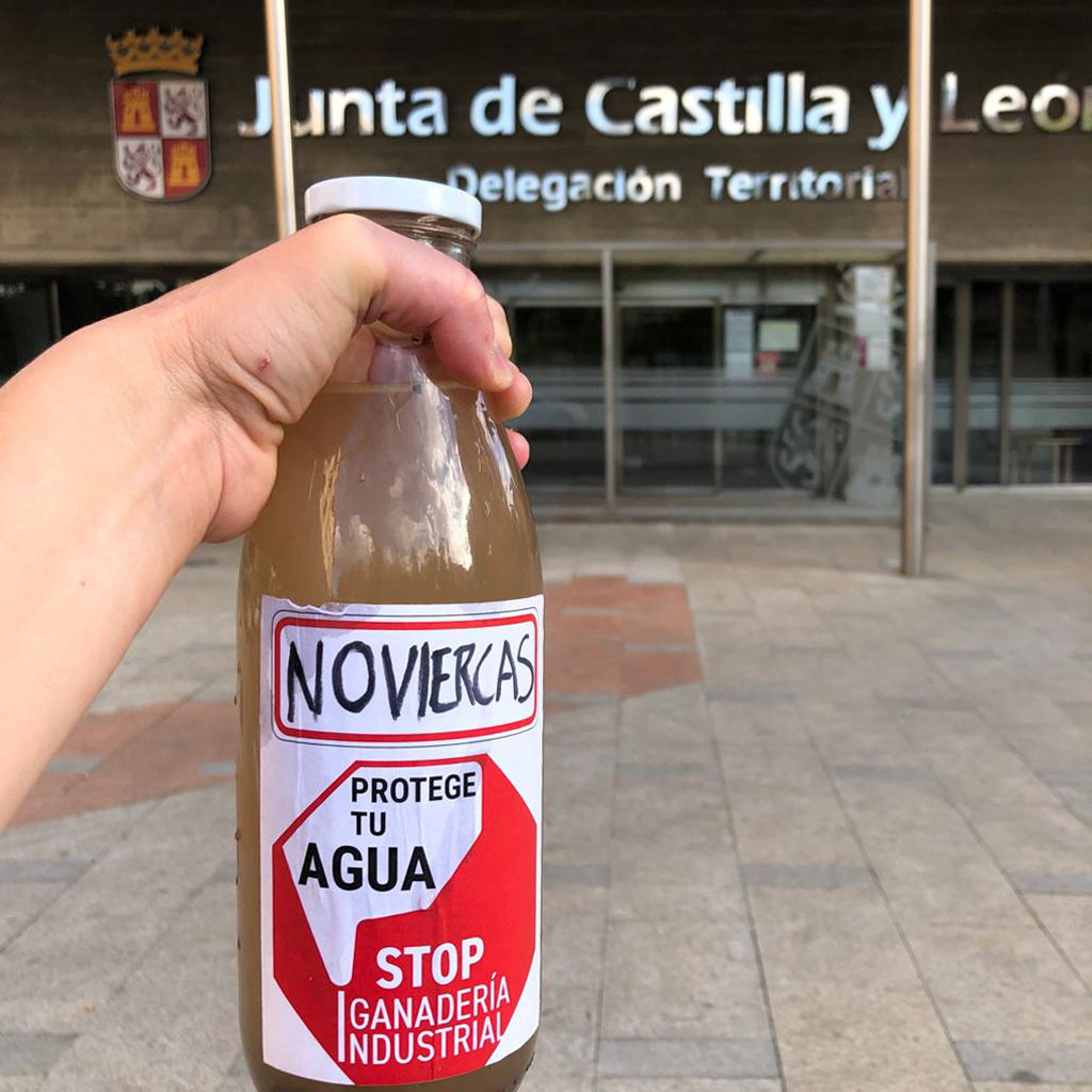 botella_01