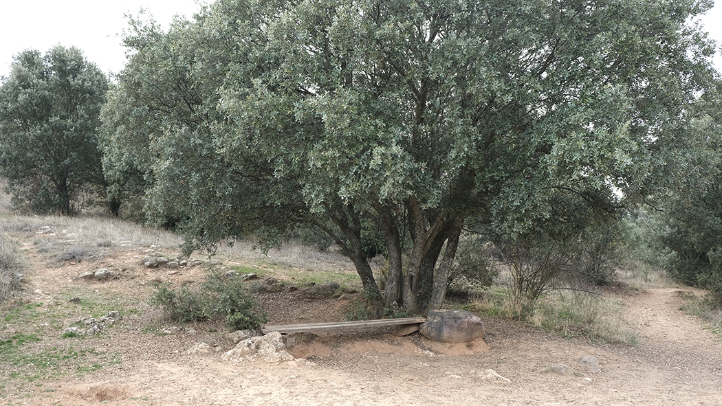DSCF3758