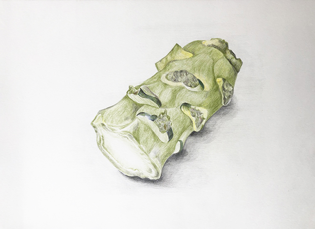 miriamtello_tronco-brocoli_01_p